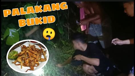 palakang dikit|NANGHULI KAMI NG PALAKANG BUKID.